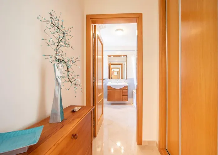 Bay - Bb São Bernardino